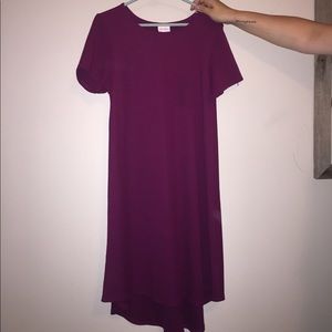 LulaRoe Medium Carly dresses and 2 XXL Julia dress